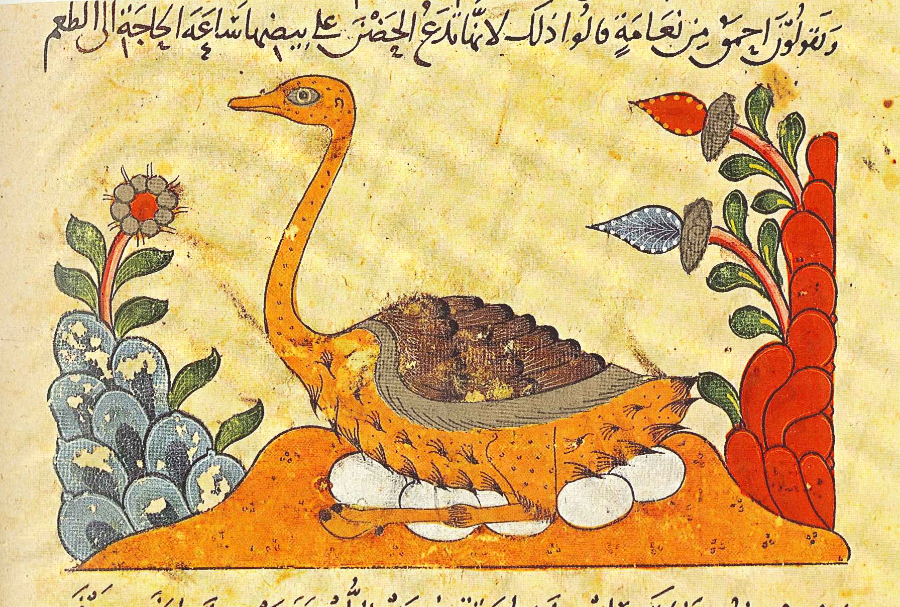 Animals in Philosophy of the Islamic World | Mizan, Culture in Muslim  societies and throughout the Islamic world